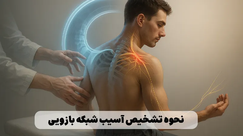 بهترین مرکز هندتراپی آسیب شبکه بازویی (ارب پالسی و کلامپکه) در تهران: چرا شروع زودهنگام حیاتی است؟